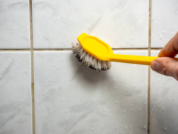Mold Removal and Inspection in St Andrews, SC
