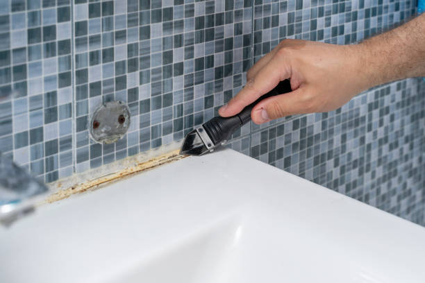 Best Emergency Mold Removal  in St Andrews, SC